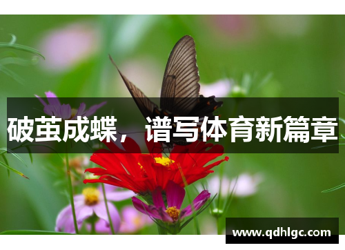 破茧成蝶，谱写体育新篇章